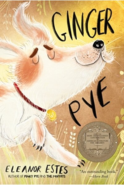 Houghton Mifflin Books For You Ginger Pye