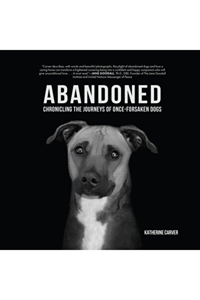 Lantern Pub & Media Abandonat: Cronica călătoriilor câinilor odată uitați