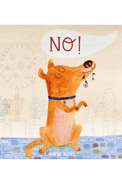 Princeton Univ Pr No! Yabancı Dil Hobi Kitapları