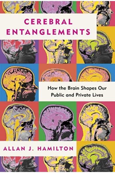 Post Hill Pr Implicitările cerebrale: Cum ne modelează creierul viața publică...