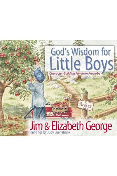 Harvest House Publishers Înțelepciunea lui Dumnezeu pentru băieții mici: Dist...