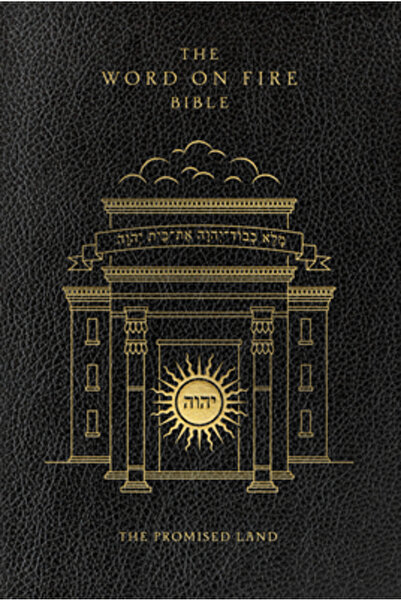 Word On Fire Biblia: Țara Promisă Volumul 4