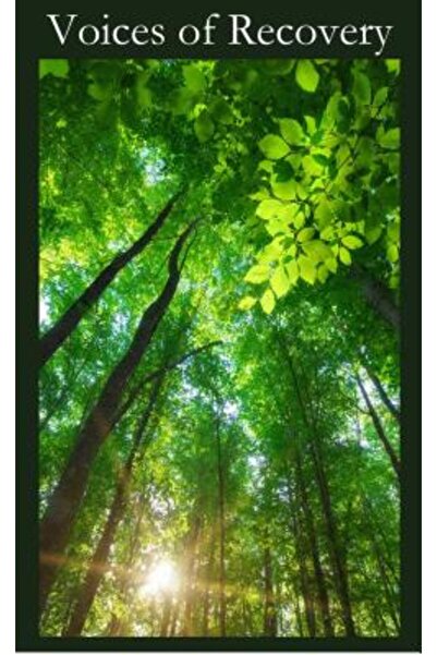 Sex Addicts Anonymous Vocile recuperării