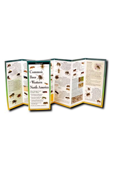 Earth Sky + Water Albine comune din vestul Americii de Nord