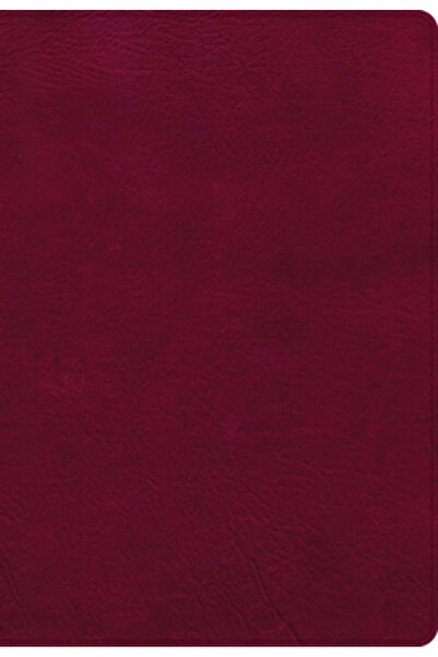 Holman Bibles Biblia de referință NASB Super Giant Print, textură din piele d...