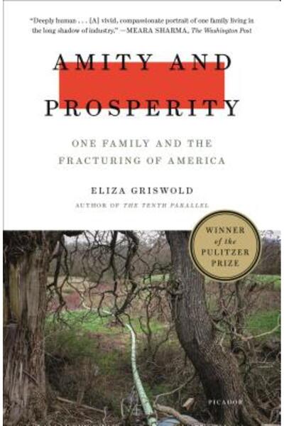 Picador Prietenie și prosperitate: o familie și fracturarea Americii