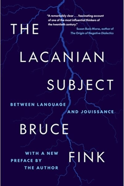 Princeton Univ Pr Subiectul lacanian: între limbaj și jouissance