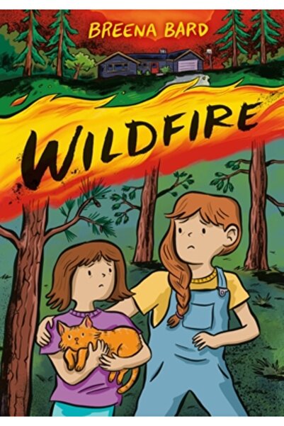 Little Brown & Co Wildfire (roman grafic)