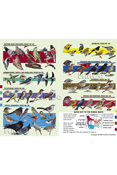 Houghton Mifflin Harcourt (Hmh) Ghidul de teren Kaufman pentru păsările din A...