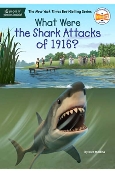 Penguin Workshop Ce au fost atacurile rechinilor din 1916?