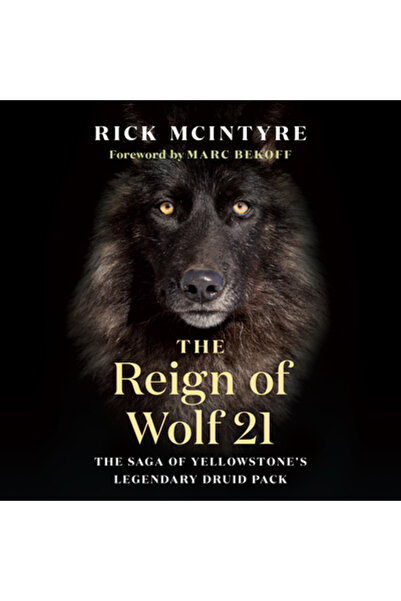 Greystone Books Domnia Lupului 21: Saga legendarei haite de druizi din Yellow...