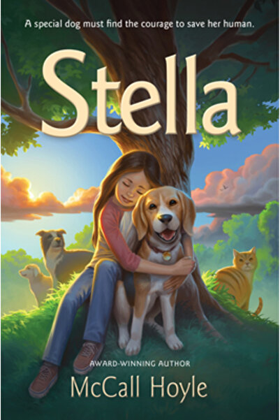 Shadow Mountain Pub Stella