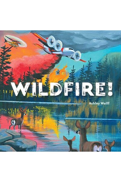 Beach Lane Books Incendiu!