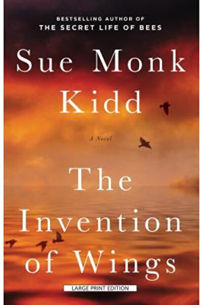 Cambridge Univ Pr Invenția aripilor