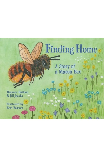 INDEPENDENT CAT Găsirea unui cămin: Povestea unei albine zidărie