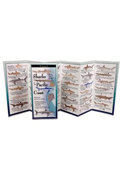 BIBLIOBAZAAR Rechini și pisici de mare de pe coasta Pacificului
