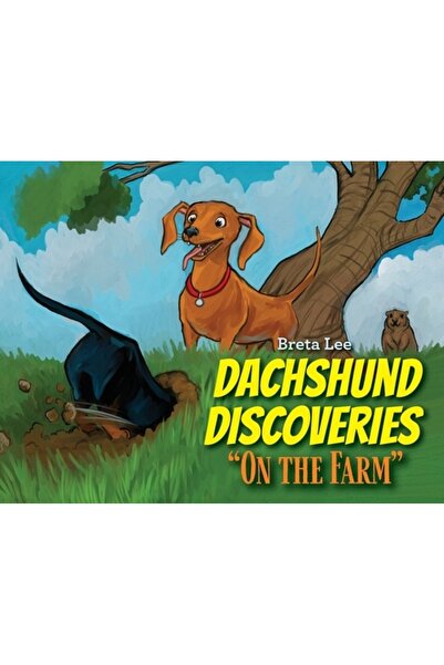 Vertel Pub Descoperiri cu teckeli: „La fermă”