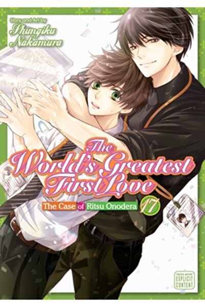 Sublime Cea mai mare primă iubire din lume, vol. 17