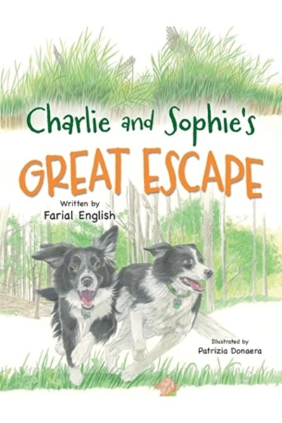 Ingspark Marea evadare a lui Charlie și Sophie