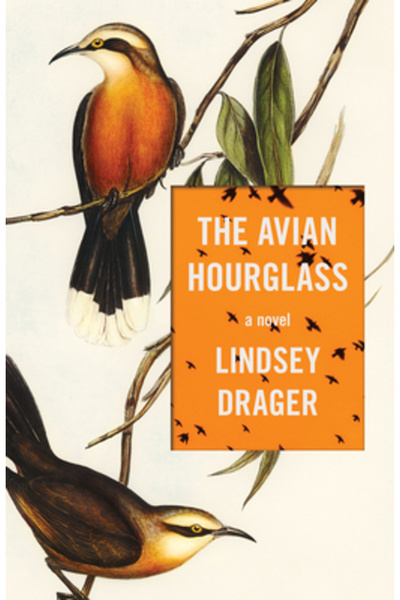 Dzanc Books Clepsidra aviară