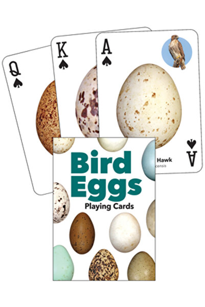 Adventurekeen Cărți de joc Bird Eggs