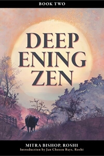 Sumeru Pr Inc Deepening Zen: The Long Maturation, book two