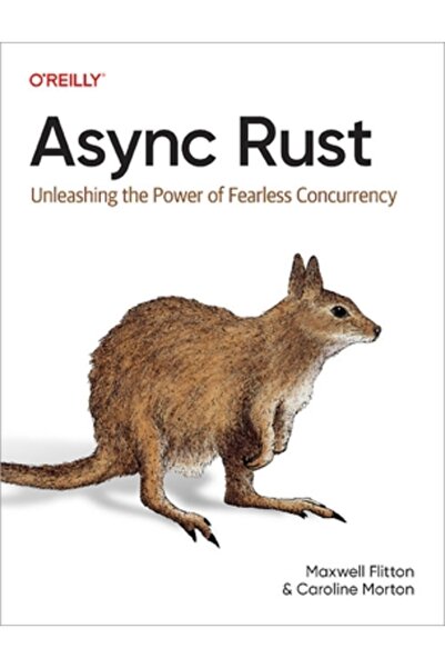 OReilly Media ASYNC Rust: Dezlănțuirea puterii concurenței neînfricate