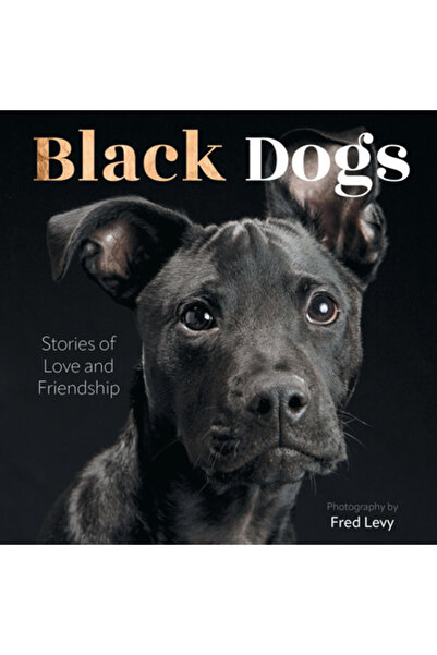 Epic Ink Books Câini negri: Povești de dragoste și prietenie