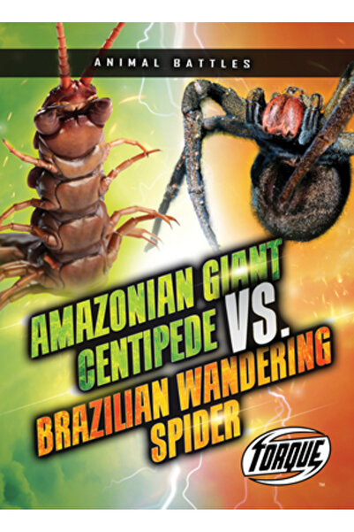 TORQUE Centipedul uriaș amazonian vs. păianjenul rătăcitor brazilian