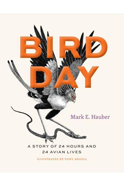 Univ Of Chicago Pr Ziua Păsărilor: O poveste despre 24 de ore și 24 de vieți ...