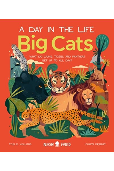 Priddy Books Feline mari (o zi din viață): Ce fac leii, tigrii și panterele t...