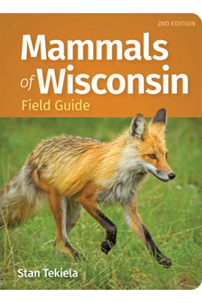 Adventurekeen Ghid de teren pentru mamiferele din Wisconsin