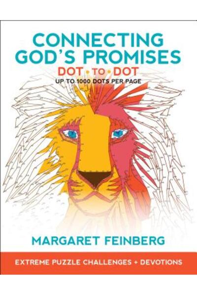 Bethany House Publ Conectarea Promisiunilor lui Dumnezeu Dot-To-Dot: Provocăr...