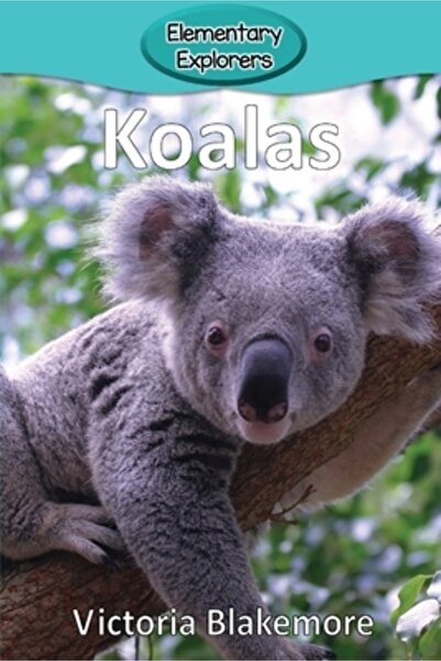 Victoria Blakemore Koala