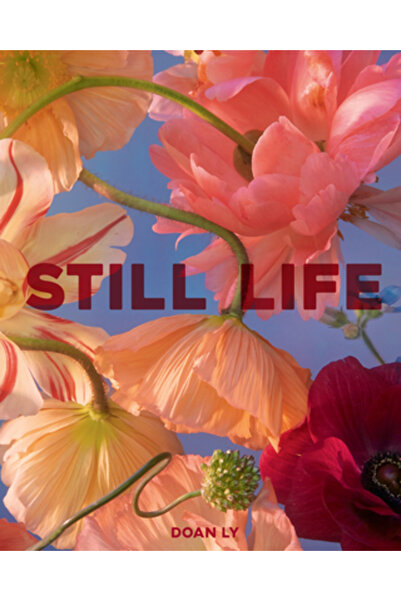 Chronicle Chroma Still Life