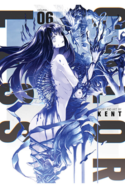 Seven Seas Pr Incolor Vol. 6