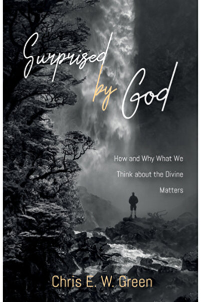 Cascade Books Surprins de Dumnezeu