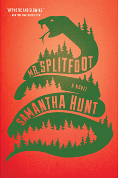 mariner books Domnul Splitfoot