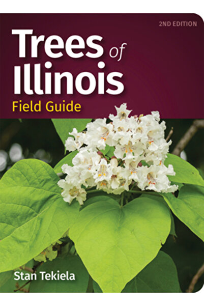 Adventurekeen Ghid de teren pentru copacii din Illinois