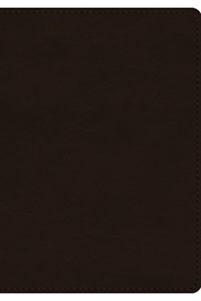 Crossway Books Biblia ESV cu jurnal pe o singură coloană, caractere mari (Tru...