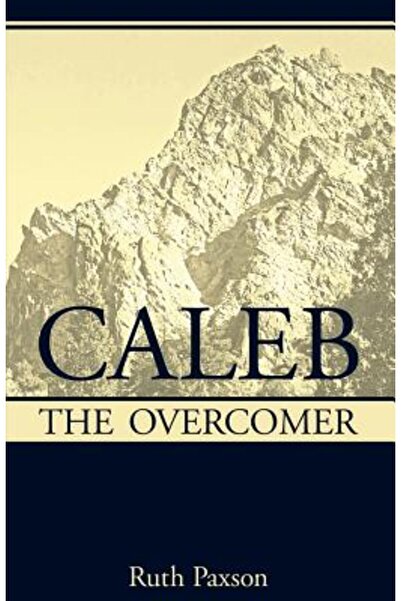 Modern Curriculum Pr Caleb Biruitorul