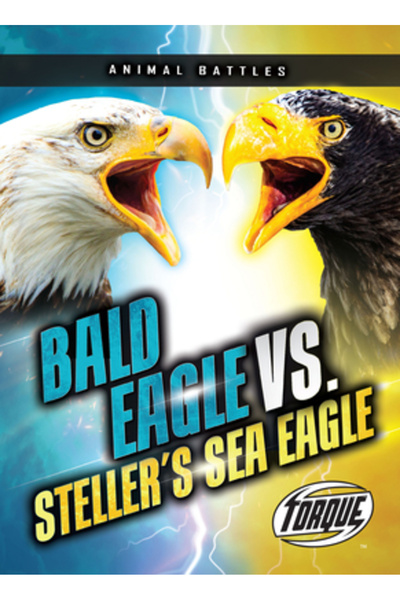 TORQUE Vulturul pleșuv vs. Vulturul de mare al lui Steller