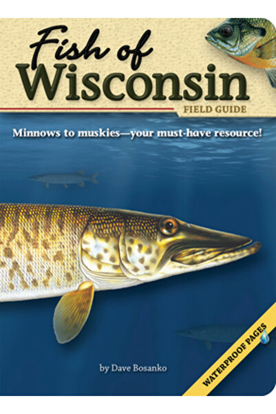 Adventure Publications(Mn) Ghid de teren pentru peștii din Wisconsin