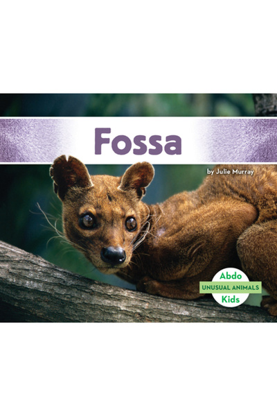 Abdo Kids Jumbo Fosă