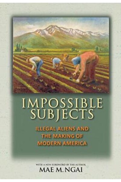 Princeton Univ Pr Subiecte imposibile: Străinii ilegali și formarea Americii ...