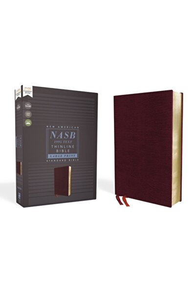 Zondervan Biblia Nasb, cu linii subțiri, caractere mari, piele sintetică, viș...