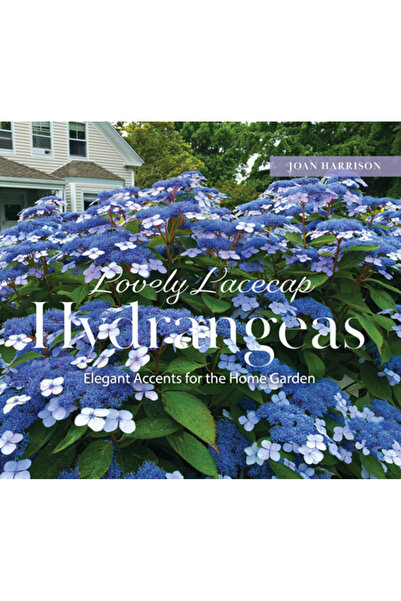 Schiffer Pub Ltd Hortensii Lacecap Minunate: Accente Elegante pentru Grădina ...