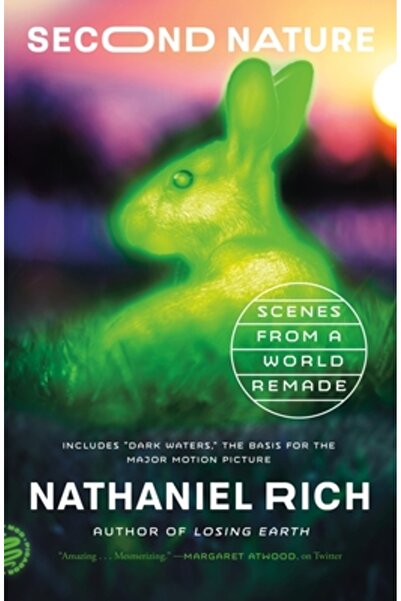 Picador A doua natură: scene dintr-o lume refăcută