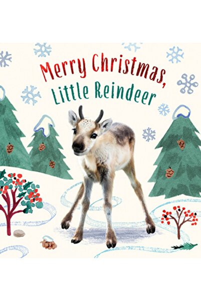 Magic Cat Crăciun fericit, micuțule ren