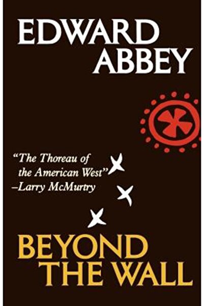 Owl Books (Ny) Dincolo de zid: Eseuri din exterior